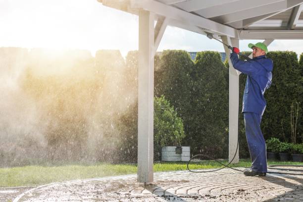 Best Graffiti Removal  in Highlands, CA