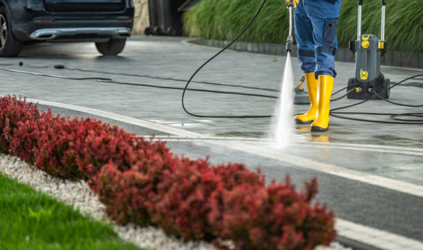 Best Animal Enclosure Cleaning  in Highlands, CA